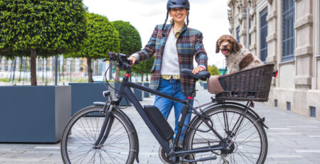 Electric Bike